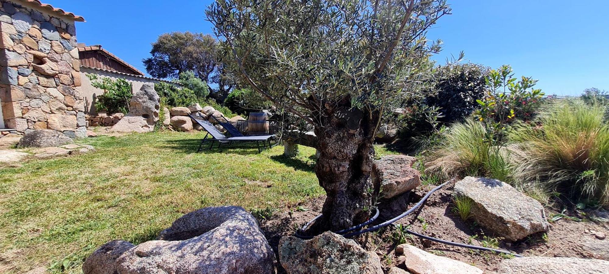 Bergerie A Sapara Pianottoli-Caldarello  Buitenkant foto